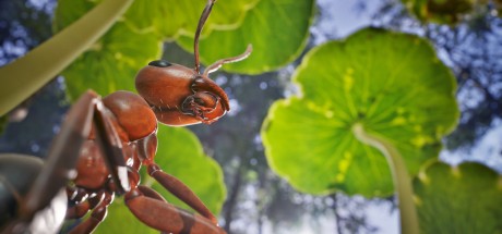 Empire of the Ants EU Xbox Series X|S CD Key