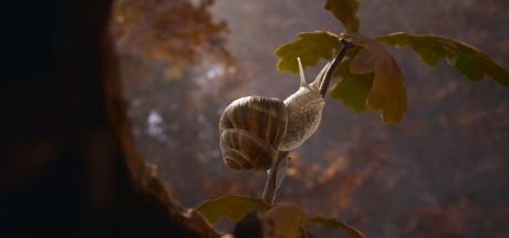 Empire of the Ants PC Steam CD Key