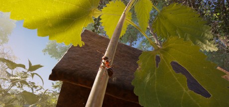 Empire of the Ants PC Steam CD Key