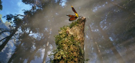 Empire of the Ants PC Steam CD Key