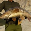Call of the Wild: The Angler - Spain Reserve DLC PC Steam CD Key Call of the Wild: The Angler - Spain Reserve DLC PC Steam CD Key