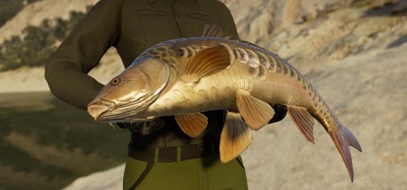Call of the Wild: The Angler - Spain Reserve DLC PC Steam CD Key Call of the Wild: The Angler - Spain Reserve DLC PC Steam CD Key