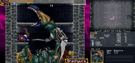 Castlevania Dominus Collection EU PC Steam CD Key Castlevania Dominus Collection EU PC Steam CD Key