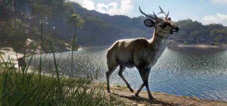 theHunter: Call of the Wild - Emerald Coast Australia DLC EU PC Steam CD Key theHunter: Call of the Wild - Emerald Coast Australia DLC EU PC Steam CD Key