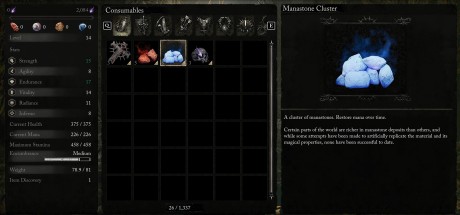 Lords of the Fallen (2023) - Starting Boost DLC Steam CD Key Lords of the Fallen (2023) - Starting Boost DLC Steam CD Key