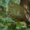 ARK: Survival Ascended UK Xbox Series X|S / PC CD Key ARK: Survival Ascended UK Xbox Series X|S / PC CD Key
