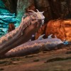 ARK: Survival Ascended UK Xbox Series X|S / PC CD Key ARK: Survival Ascended UK Xbox Series X|S / PC CD Key