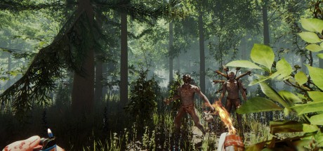 The Forest EU PC Steam CD Key The Forest EU PC Steam CD Key
