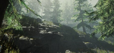 The Forest EU PC Steam CD Key The Forest EU PC Steam CD Key