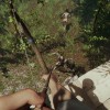 The Forest EU PC Steam CD Key The Forest EU PC Steam CD Key