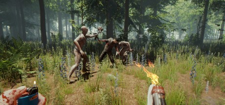 The Forest EU PC Steam CD Key The Forest EU PC Steam CD Key