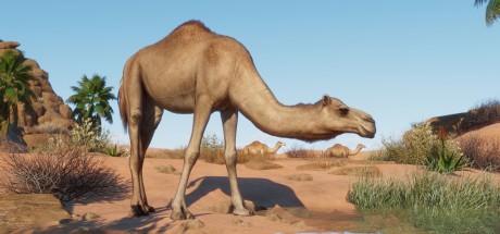 Planet Zoo - Arid Animal Pack DLC EU PC Steam CD Key Planet Zoo - Arid Animal Pack DLC EU PC Steam CD Key