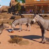 Planet Zoo - Arid Animal Pack DLC PC Steam CD Key Planet Zoo - Arid Animal Pack DLC PC Steam CD Key