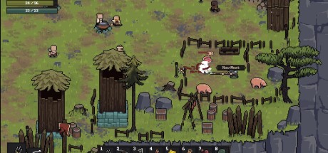 Pale Coins PC Steam CD Key