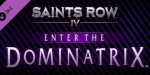 Saints Row IV - Enter the Dominatrix DLC Steam CD Key