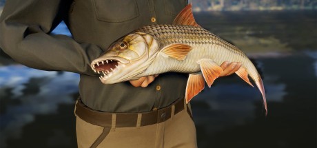Call of the Wild: The Angler - South Africa Reserve DLC PC Steam CD Key Call of the Wild: The Angler - South Africa Reserve DLC PC Steam CD Key