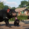 Planet Zoo - Oceania Pack DLC EU Steam CD Key