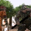 Serious Sam 4 EU Steam CD Key Serious Sam 4 EU Steam CD Key