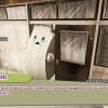 Promise Mascot Agency PC Steam CD Key Promise Mascot Agency PC Steam CD Key