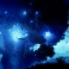 Ori and the Blind Forest: Definitive Edition EU PC Windows 10 CD Key