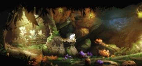 Ori and the Blind Forest: Definitive Edition EU PC Windows 10 CD Key Ori and the Blind Forest: Definitive Edition EU PC Windows 10 CD Key