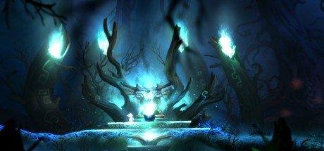 Ori and the Blind Forest: Definitive Edition EU PC Windows 10 CD Key Ori and the Blind Forest: Definitive Edition EU PC Windows 10 CD Key