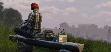 DAYZ - Soundtrack DLC PC Steam CD Key DAYZ - Soundtrack DLC PC Steam CD Key