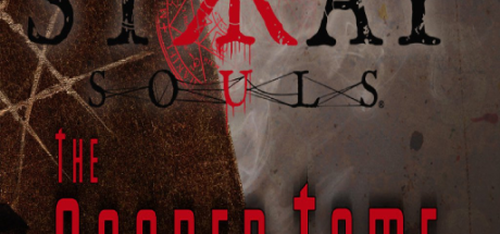 Stray Souls - The Sacred Tome DLC PC Steam CD Key Stray Souls - The Sacred Tome DLC PC Steam CD Key