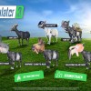 Goat Simulator 3 Steam CD Key