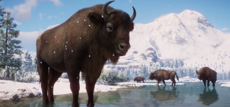 Planet Zoo - Eurasia Animal Pack DLC EU Steam CD Key Planet Zoo - Eurasia Animal Pack DLC EU Steam CD Key