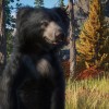 Planet Zoo - Eurasia Animal Pack DLC EU Steam CD Key Planet Zoo - Eurasia Animal Pack DLC EU Steam CD Key