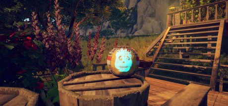 Survival: Fountain of Youth - Supporter Pack DLC PC Steam CD Key