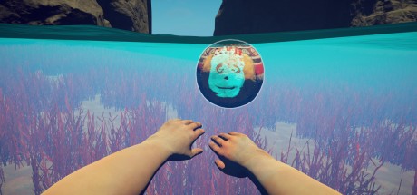 Survival: Fountain of Youth - Supporter Pack DLC PC Steam CD Key