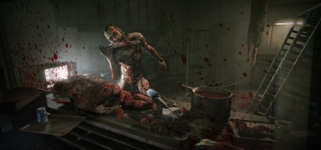 Outlast - Whistleblower DLC EU PC Steam CD Key Outlast - Whistleblower DLC EU PC Steam CD Key
