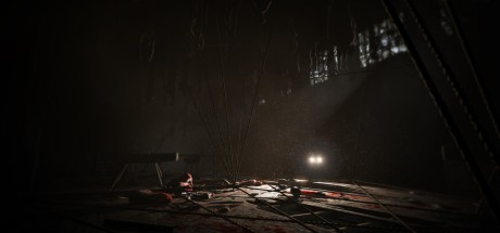 Outlast - Whistleblower DLC PC Steam CD Key Outlast - Whistleblower DLC PC Steam CD Key