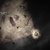 Darkwood Steam CD Key