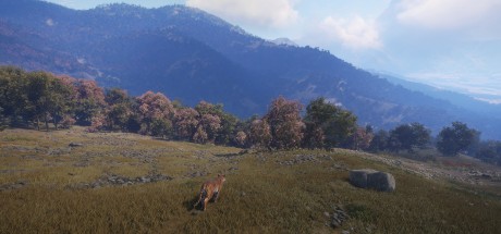 theHunter: Call of the Wild - Sundarpatan Nepal Hunting Reserve DLC PC Steam CD Key theHunter: Call of the Wild - Sundarpatan Nepal Hunting Reserve DLC PC Steam CD Key