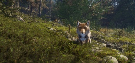 theHunter: Call of the Wild - Sundarpatan Nepal Hunting Reserve DLC PC Steam CD Key theHunter: Call of the Wild - Sundarpatan Nepal Hunting Reserve DLC PC Steam CD Key