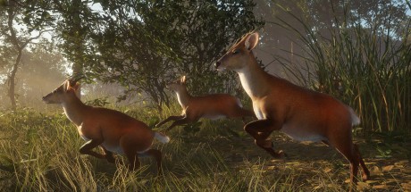 theHunter: Call of the Wild - Sundarpatan Nepal Hunting Reserve DLC PC Steam CD Key theHunter: Call of the Wild - Sundarpatan Nepal Hunting Reserve DLC PC Steam CD Key