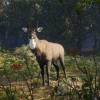 theHunter: Call of the Wild - Sundarpatan Nepal Hunting Reserve DLC PC Steam CD Key theHunter: Call of the Wild - Sundarpatan Nepal Hunting Reserve DLC PC Steam CD Key