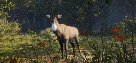 theHunter: Call of the Wild - Sundarpatan Nepal Hunting Reserve DLC PC Steam CD Key theHunter: Call of the Wild - Sundarpatan Nepal Hunting Reserve DLC PC Steam CD Key