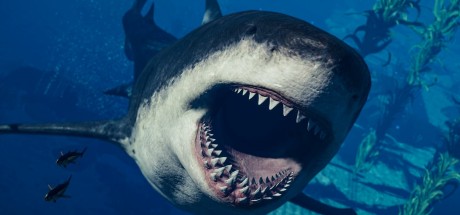 Jurassic World Evolution 2 - Park Managers' Collection Pack DLC EU PC Steam CD Key Jurassic World Evolution 2 - Park Managers' Collection Pack DLC EU PC Steam CD Key