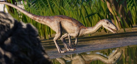 Jurassic World Evolution 2 - Park Managers' Collection Pack DLC PC Steam CD Key Jurassic World Evolution 2 - Park Managers' Collection Pack DLC PC Steam CD Key