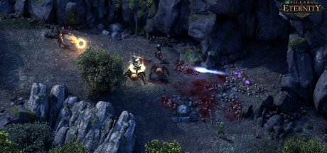 Pillars of Eternity II: Deadfire GOG CD Key Pillars of Eternity II: Deadfire GOG CD Key