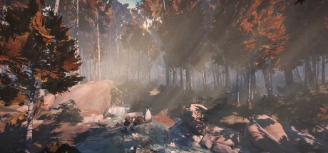 Herdling PC Steam CD Key