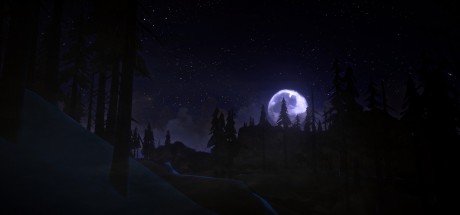 The Long Dark PC Steam CD Key The Long Dark PC Steam CD Key