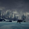 The Long Dark PC Steam CD Key The Long Dark PC Steam CD Key