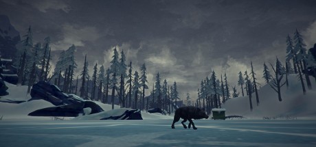 The Long Dark PC Steam CD Key The Long Dark PC Steam CD Key