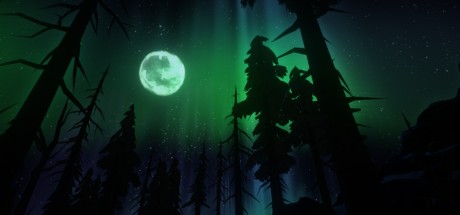 The Long Dark PC Steam CD Key The Long Dark PC Steam CD Key