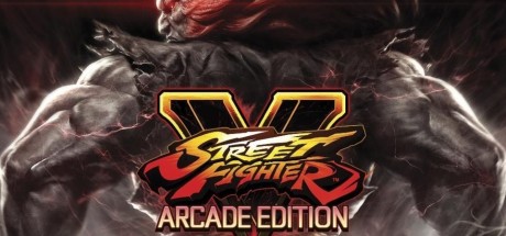 Street Fighter V: Arcade Edition Character Pass 1 + 2 Bundle DLC EU (without DE) PS4 CD Key